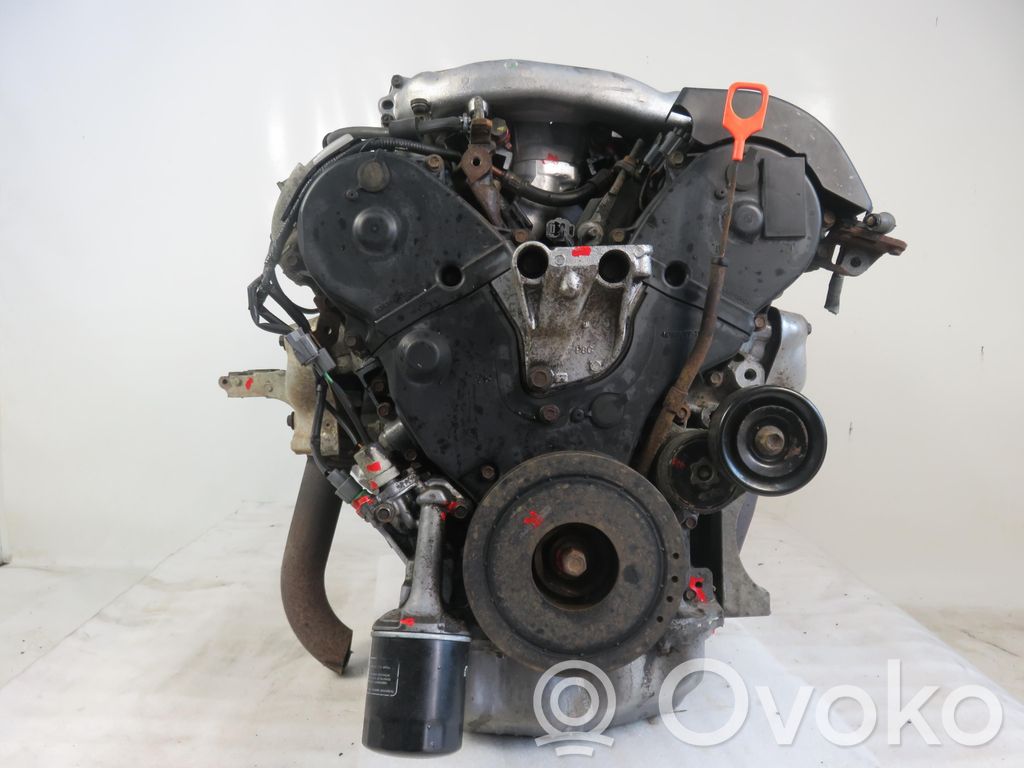 Honda Accord Motor 