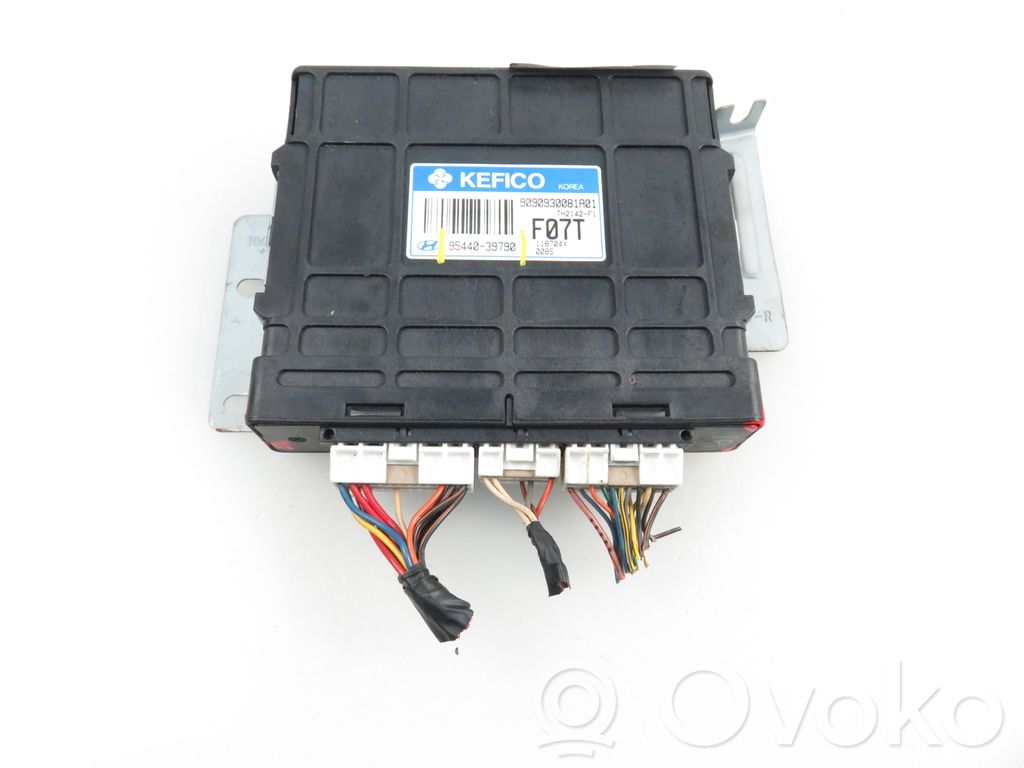 Hyundai Trajet Engine control unit/module 