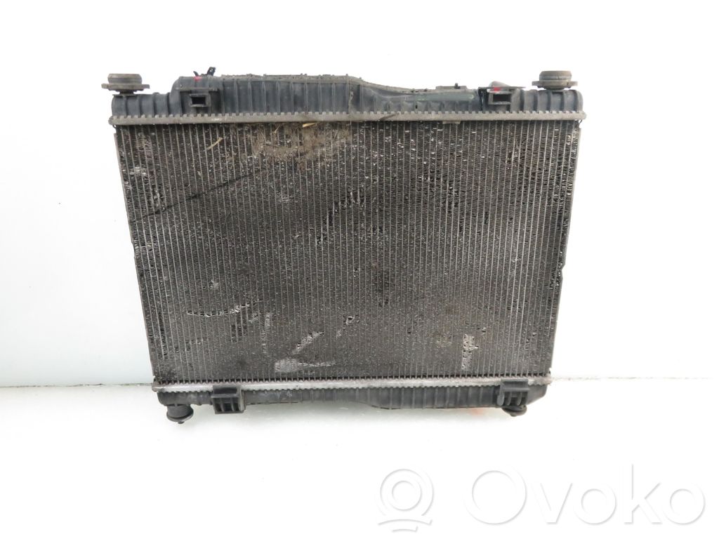 Ford Fiesta Radiator lichid răcire 