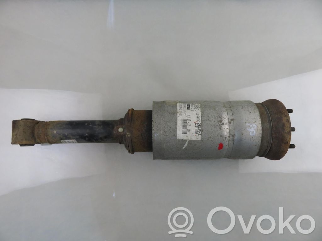 Land Rover Range Rover Sport L320 Butelie suspensie pneumatică spate/amortizor 