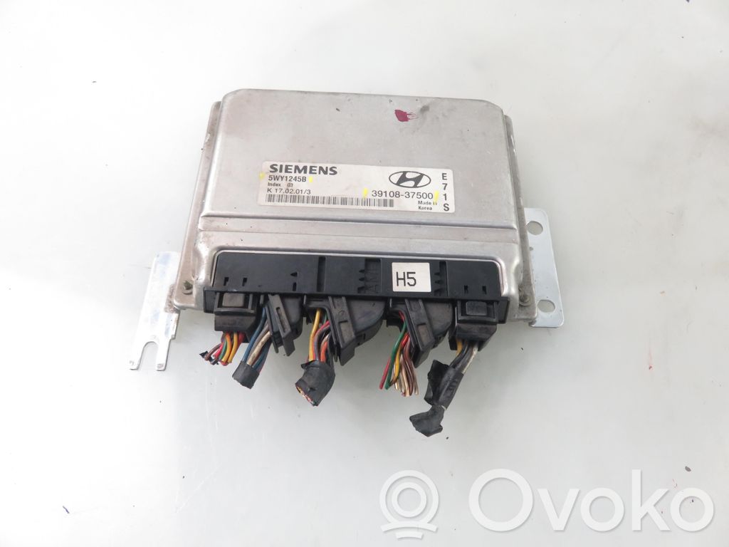 Hyundai Santa Fe Engine control unit/module 