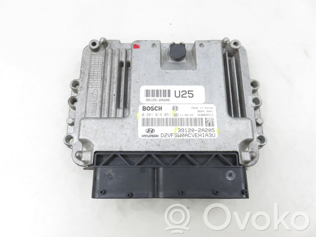 Engine control unit/module   0281018051,391202A205,0281018051,391202A205