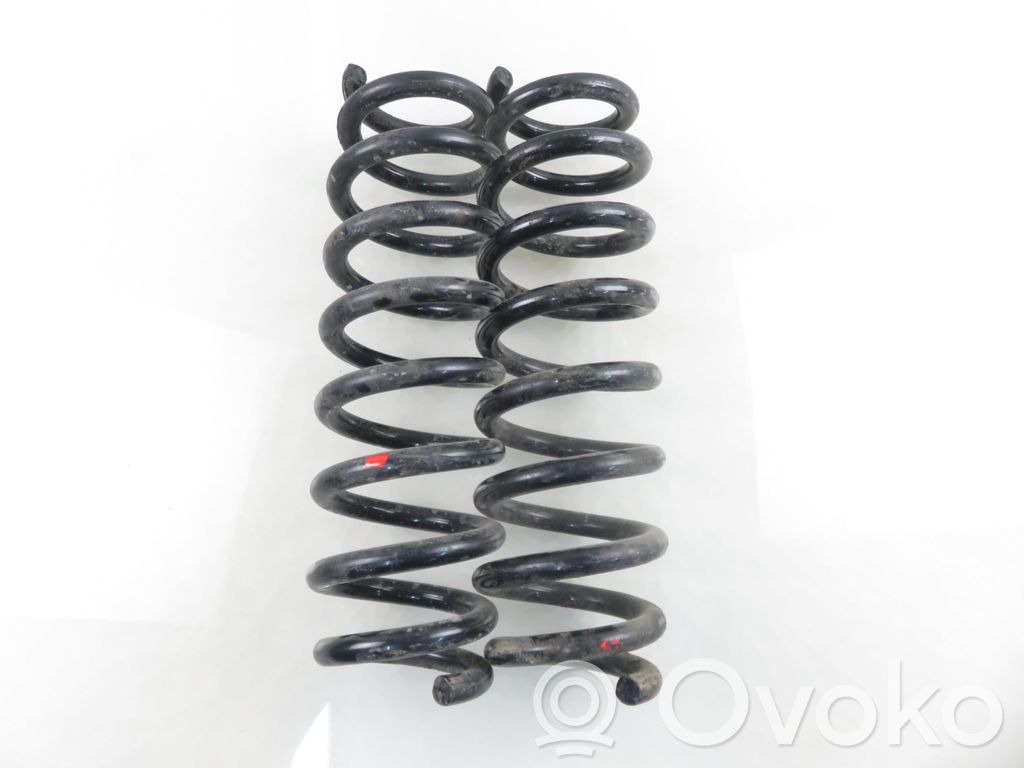 Muelle espiral trasero