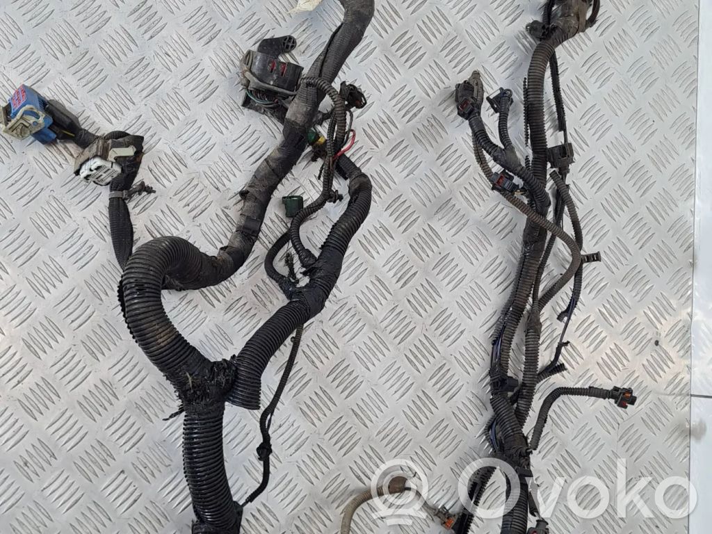 Engine installation wiring loom