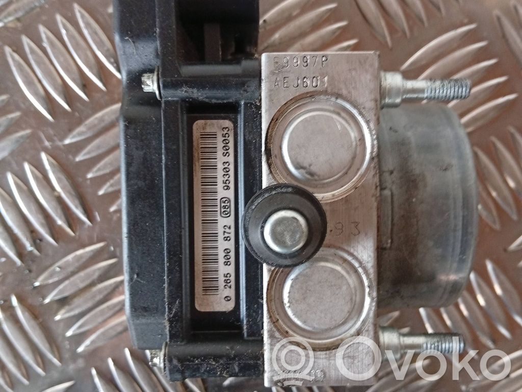 ABS-pumppu   0265800872,95303S0053