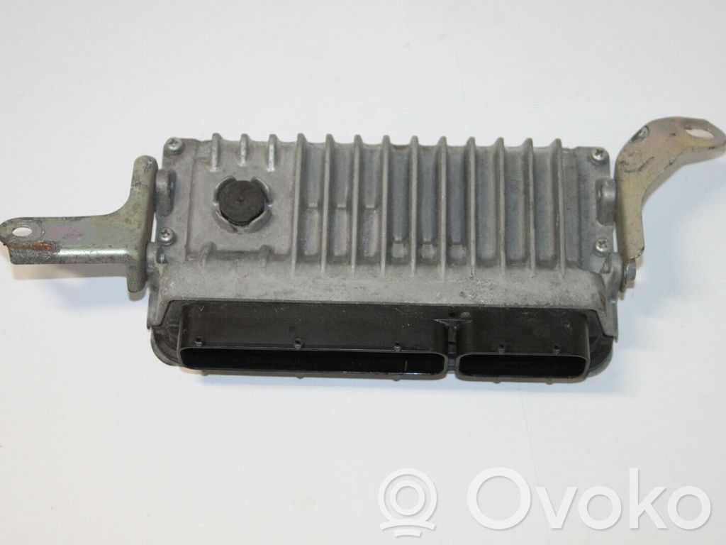 Engine control unit/module   896610DR10