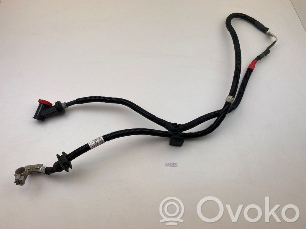 Cable positivo (batería)   8654635,50235328,623270112