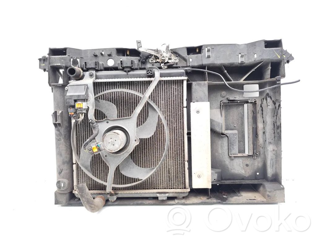 Radiatoru panelis   9684522780,9677952180