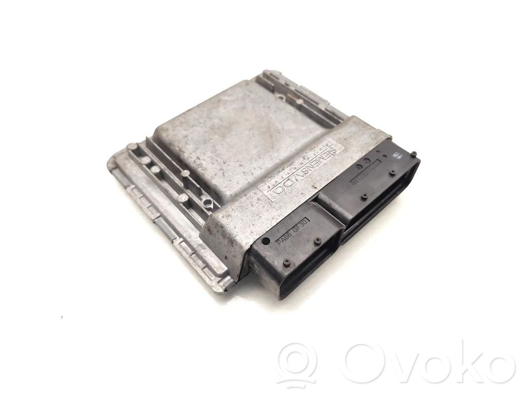 Ford Focus Engine control unit/module 