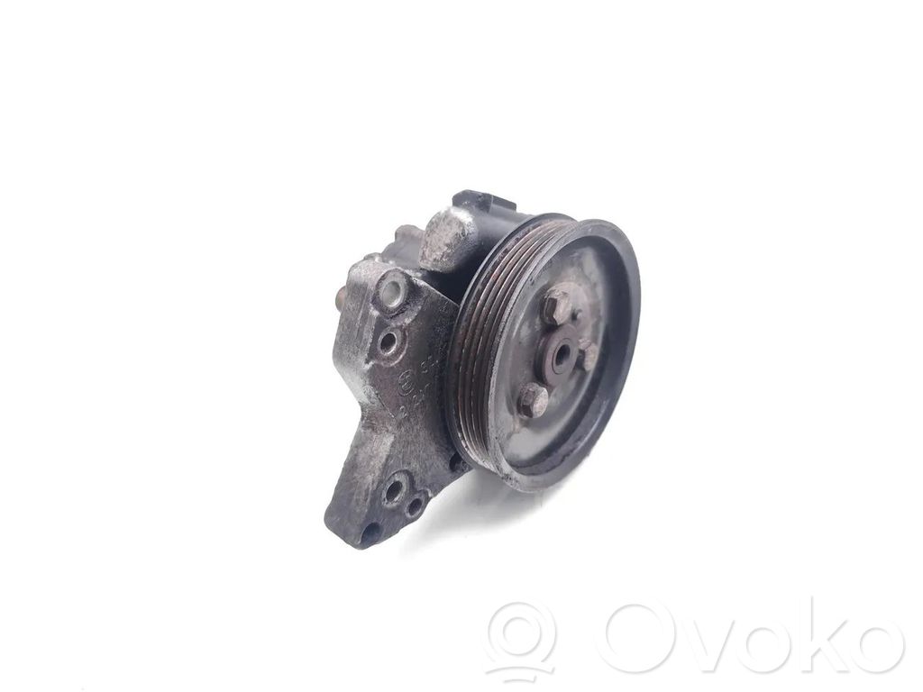 Power steering pump   7691032