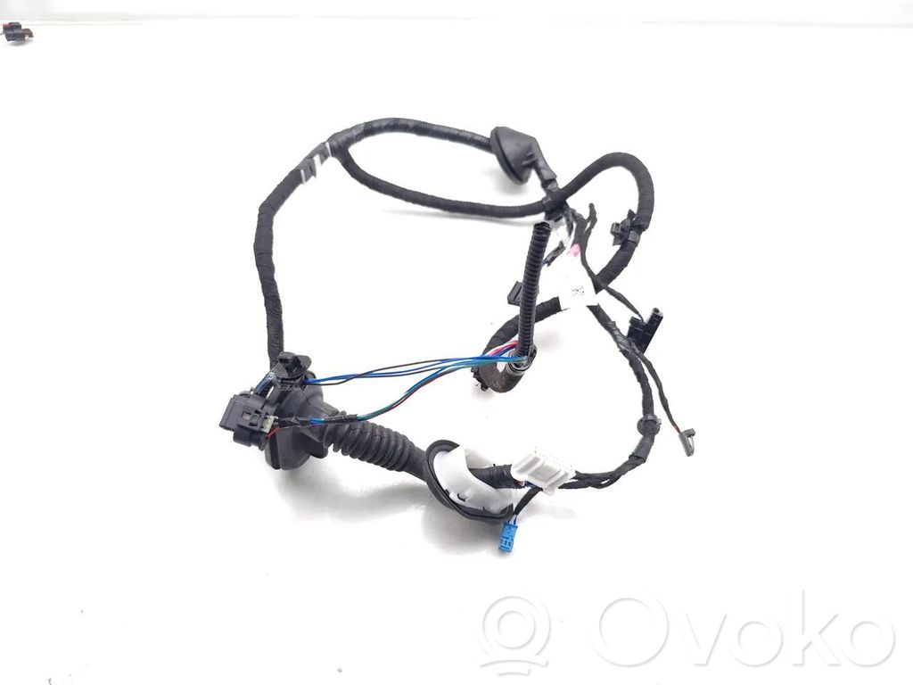 Cableado de puerta trasera   206796500B,206796500B