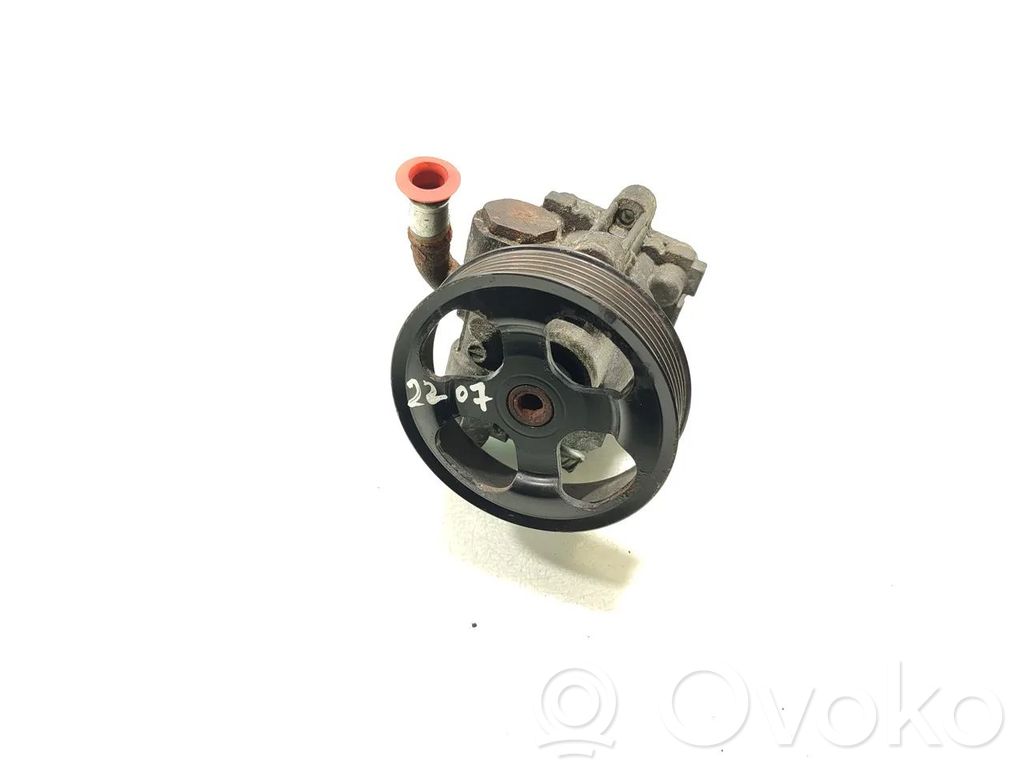 Servopumpe
