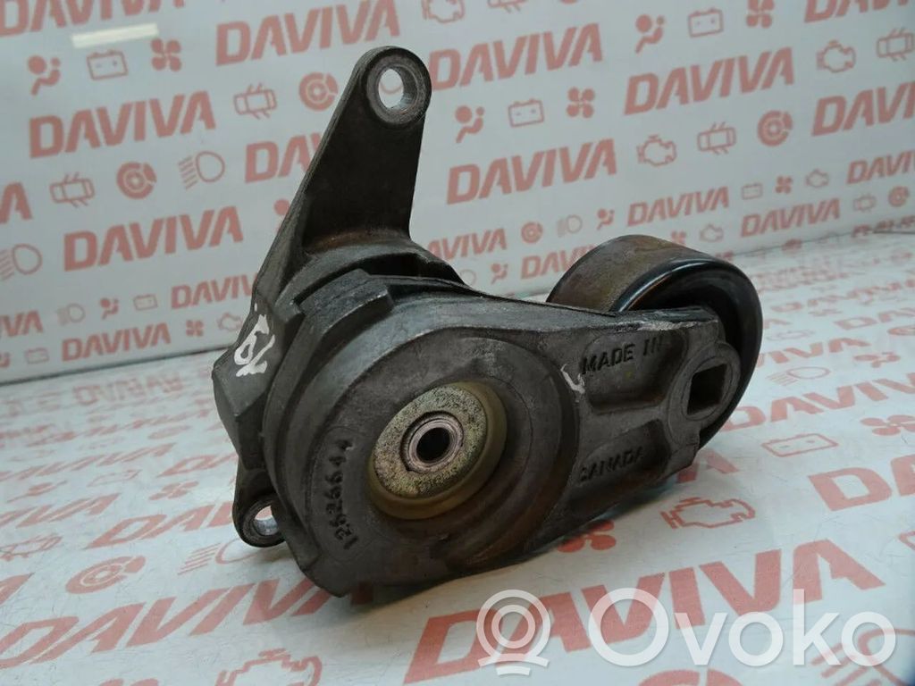 Chevrolet Captiva Napinacz paska / łańcucha rozrządu 