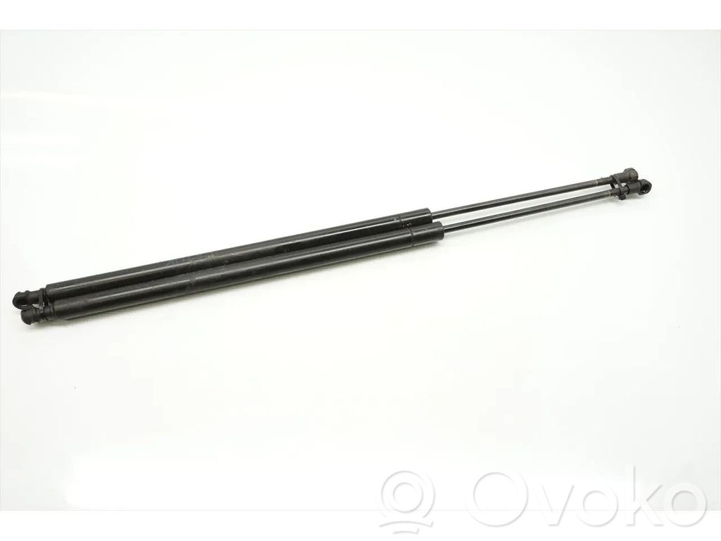 Tailgate/trunk strut/damper