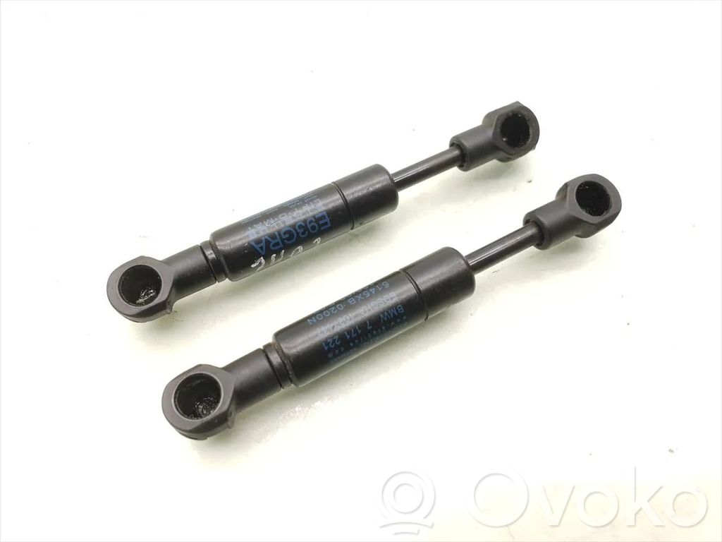 Tailgate/trunk strut/damper   7171221