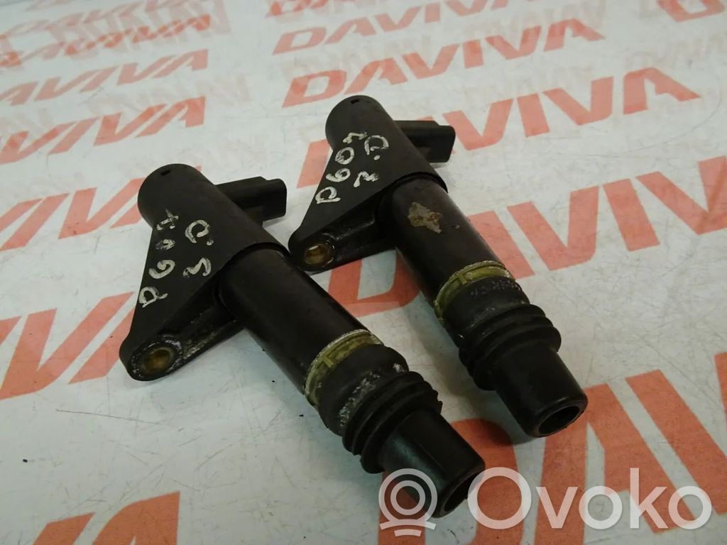 Peugeot 607 Aukštos įtampos ritė "babyna" 