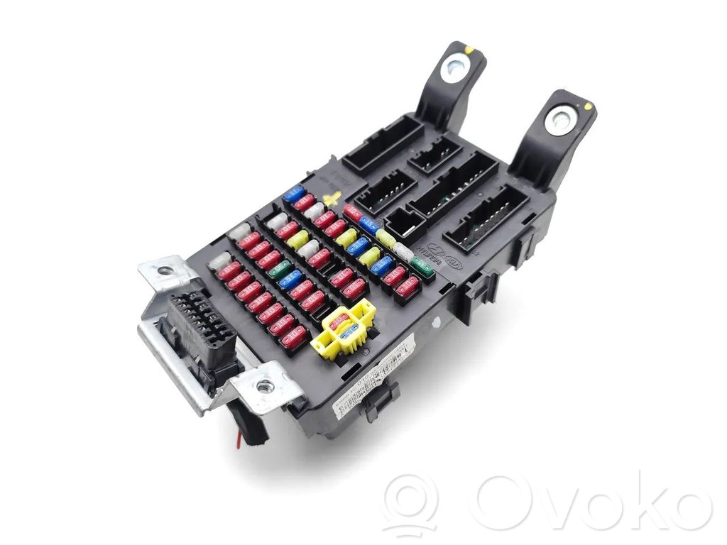 Fuse module   919501G010