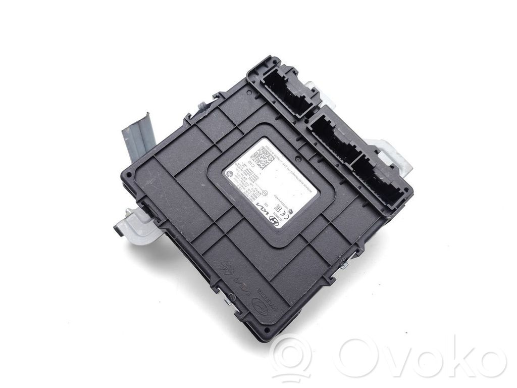 Modulo di controllo del corpo centrale   954B0J7100,4S5BA21000