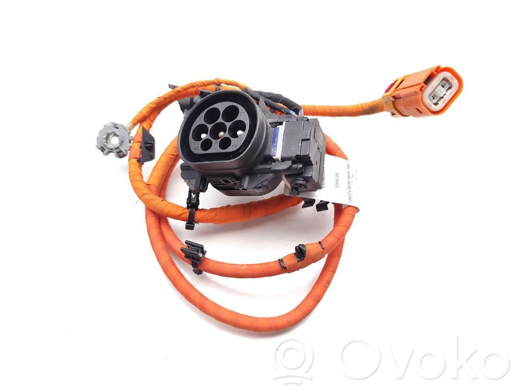 Cargador de batería (opcional)   8Y0971509