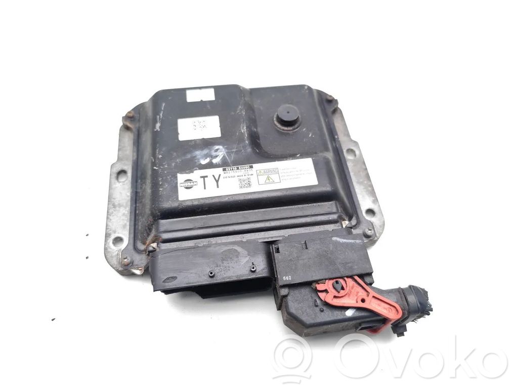 Nissan Pathfinder R51 Engine control unit/module 