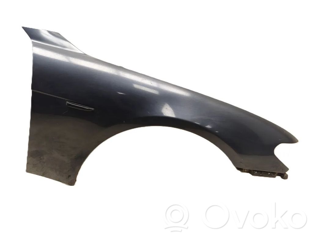 Fender