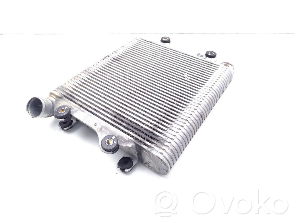 Isuzu Rodeo Chłodnica powietrza doładowującego / Intercooler 