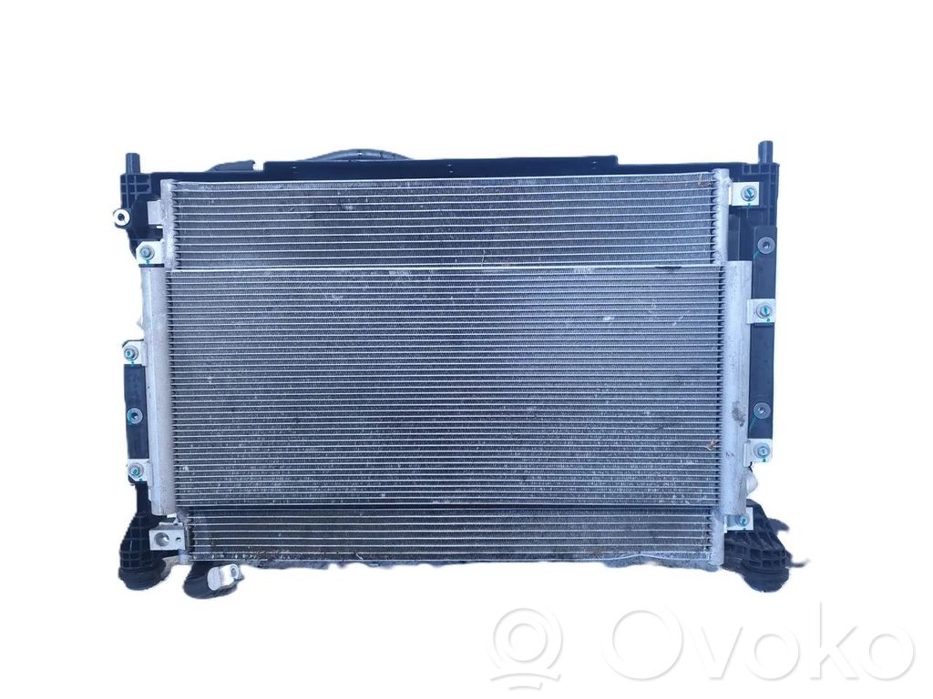Radiatora komplekts   13780930