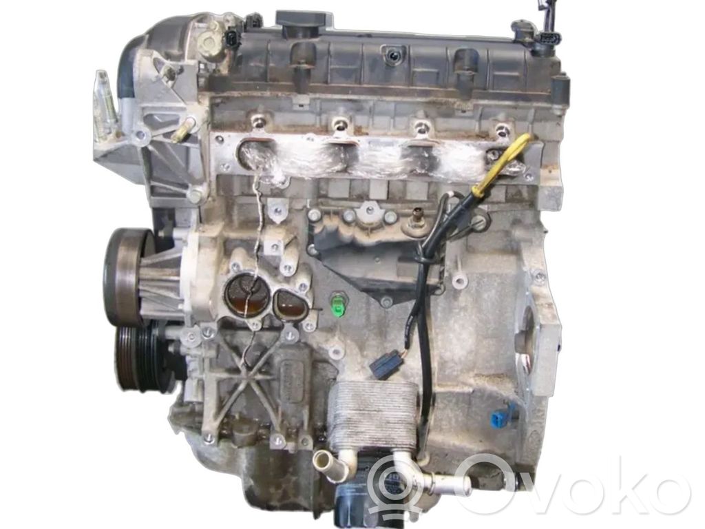 Ford Focus Motor 