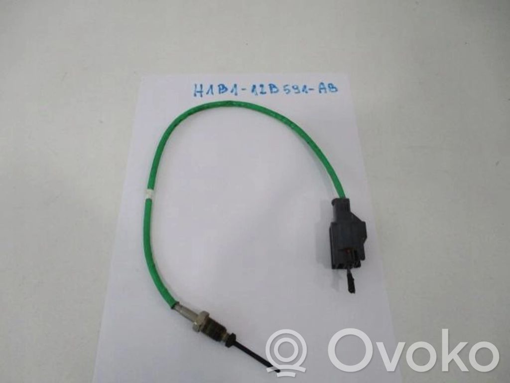 Ford Fiesta Exhaust gas temperature sensor 