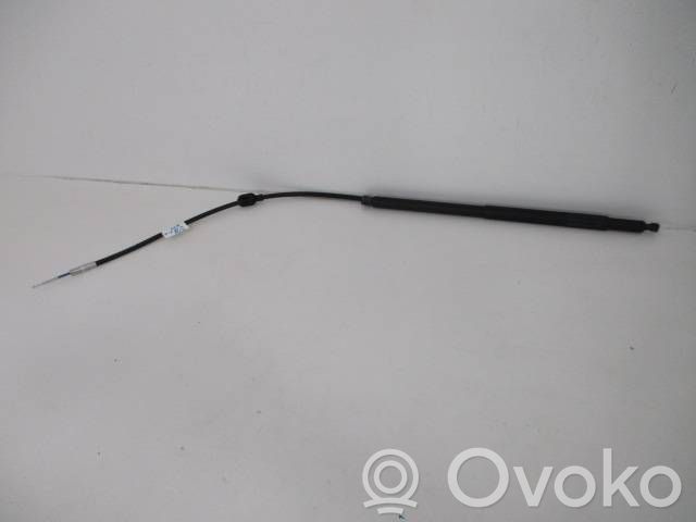 Tailgate strut   9687936080