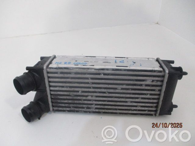 Citroen C4 I Interkūlerio radiatorius 