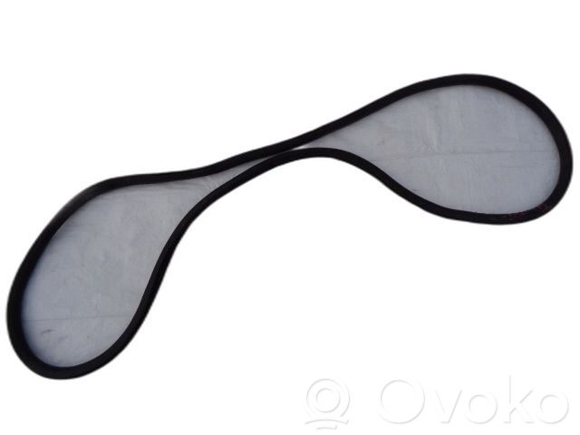 Citroen DS3 Front door rubber seal 