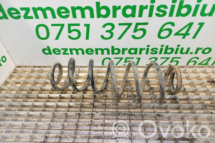 Rear coil spring