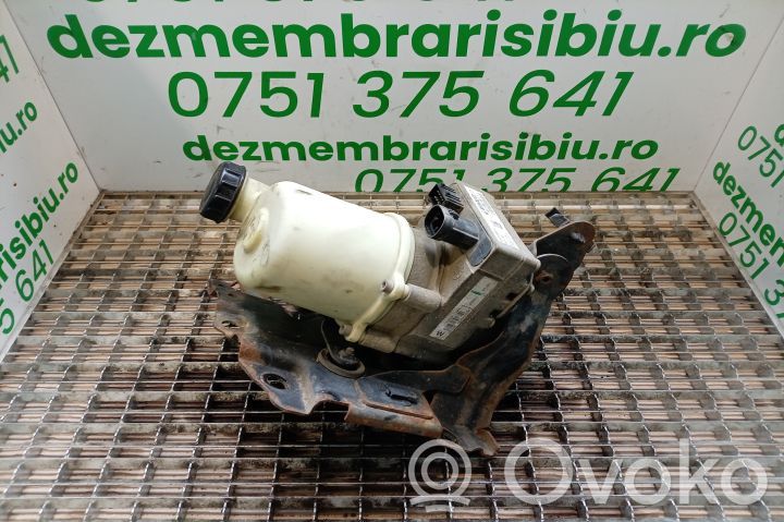 Servopumpe   491106619R