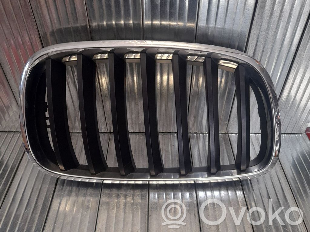 BMW X5 E70 Etupuskurin ylempi jäähdytinsäleikkö 