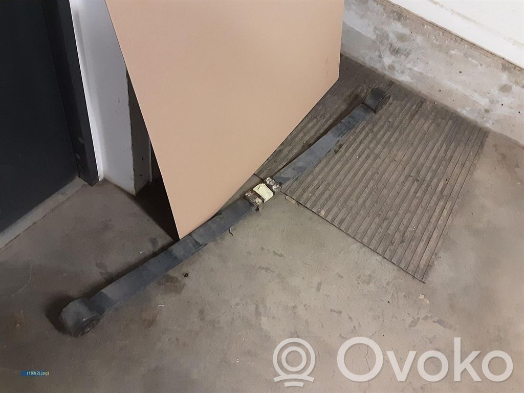 Galinė lingė   FK215560AA
