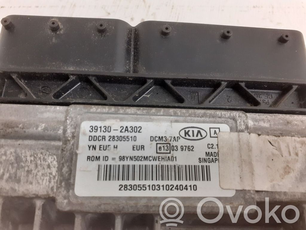 Injection control unit/module   391302A302,391302A302