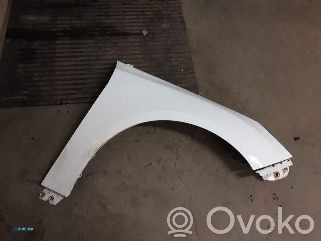 Ford Focus Fender 