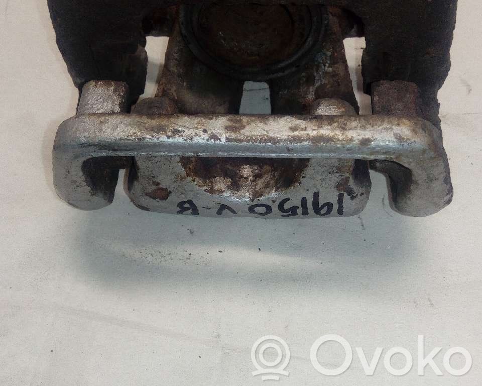 Takajarrusatula   34216776377