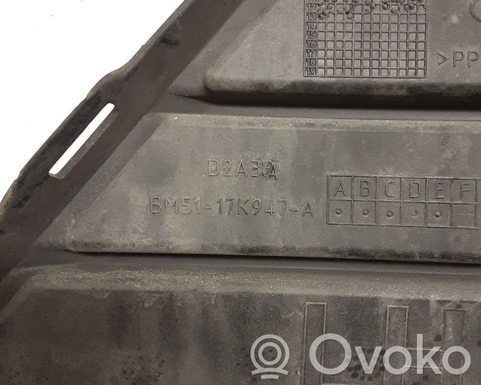 Ford Focus Front bumper lower grill 