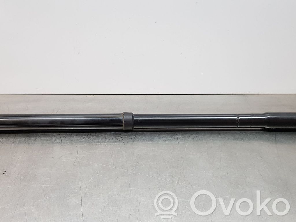 Ford C-MAX II Tailgate/trunk strut/damper 