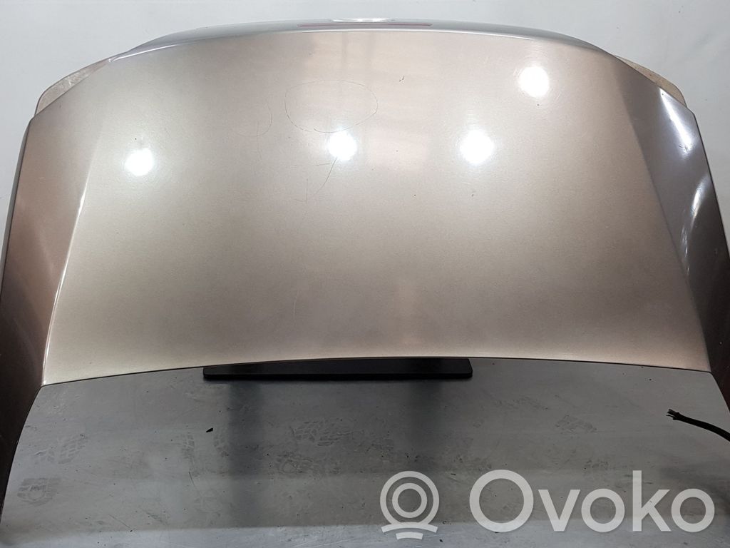 Ford Focus Rear door 