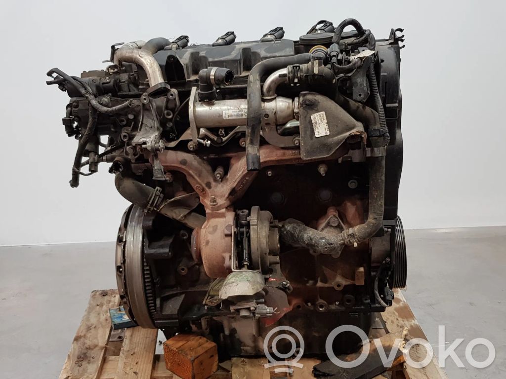 Variklis   G6DG,D4204T