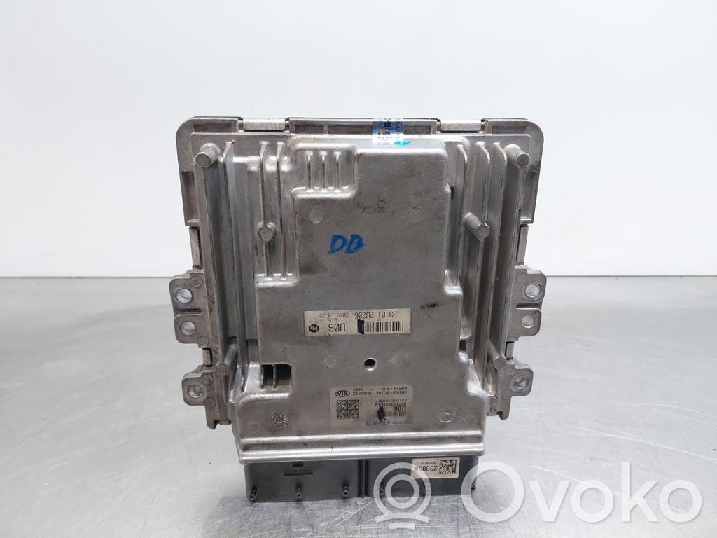 Engine control unit/module   391002U206