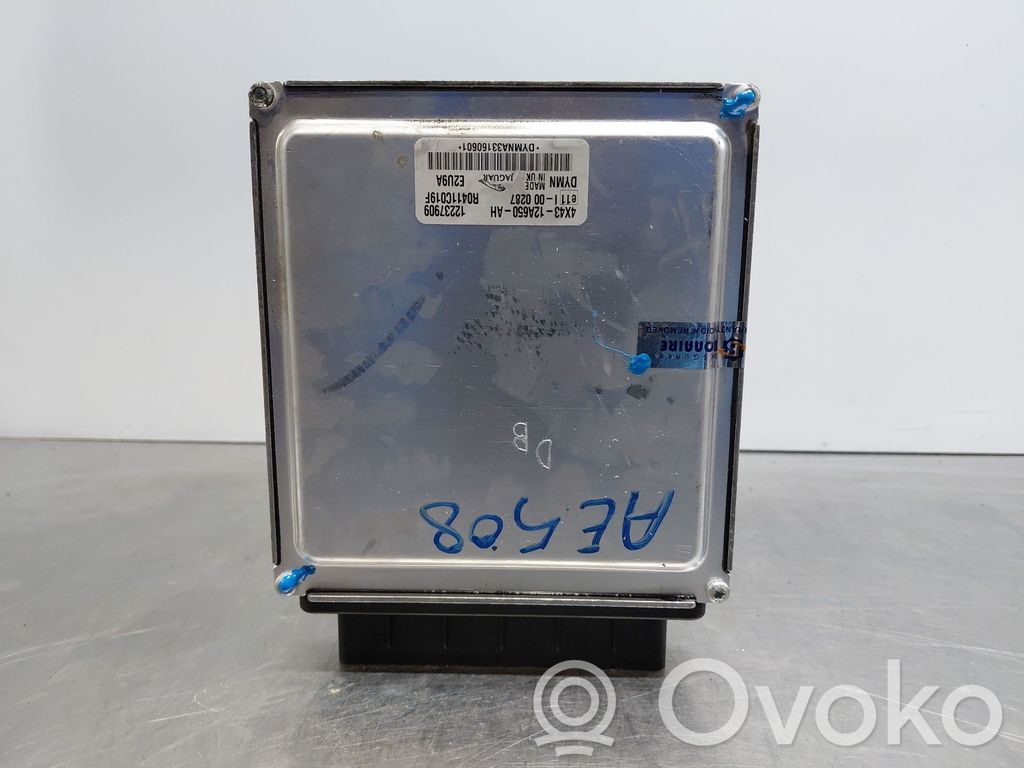 Jaguar X-Type Engine control unit/module 