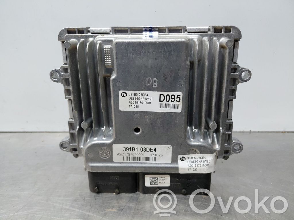 Engine control unit/module   391B503DE4,A2C1517610001