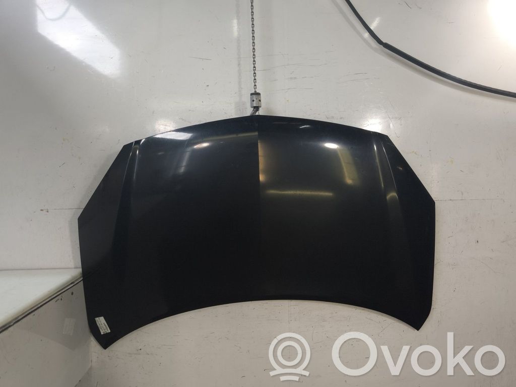 Vano motore/cofano   651000024R