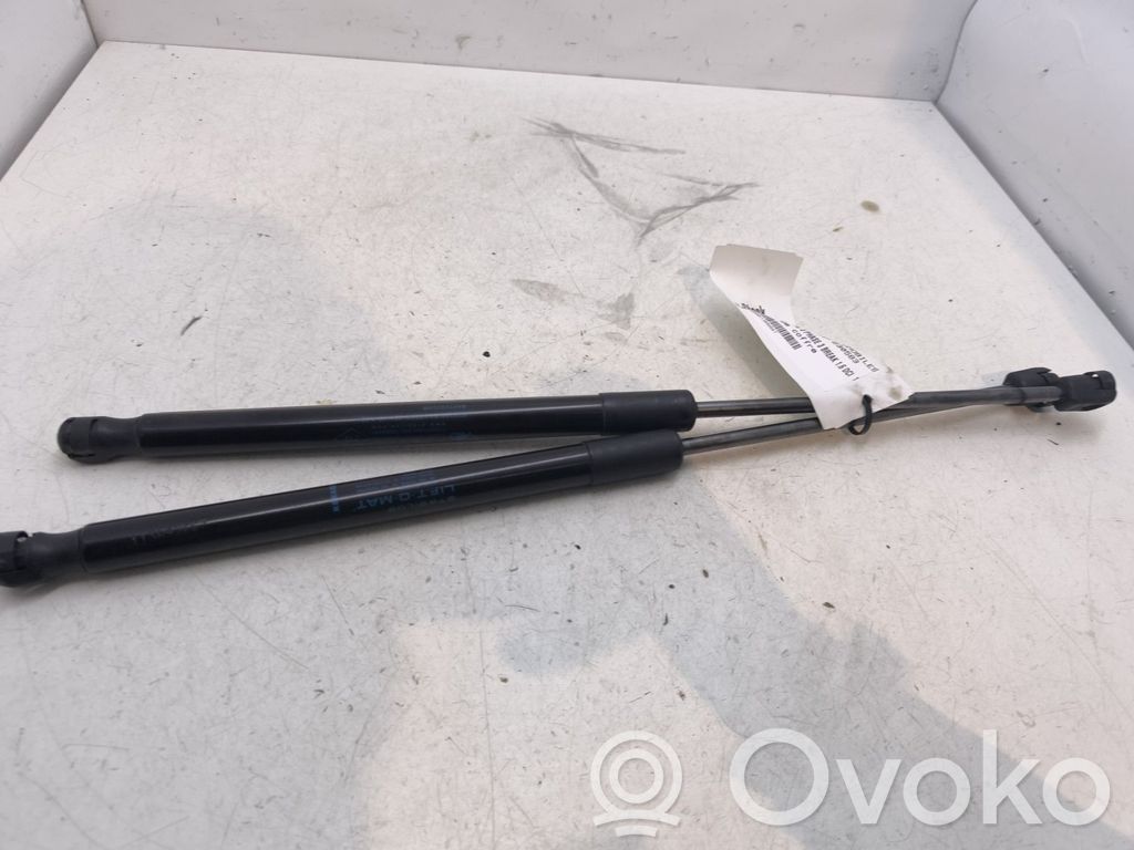 Renault Megane III Ammortizzatore portellone posteriore/bagagliaio 