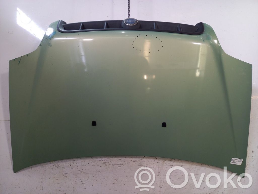 Motorhaube   46743226