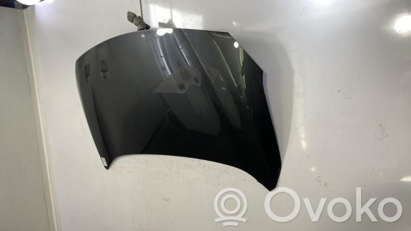 Vano motore/cofano   651002244R